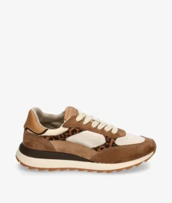 Deportivos CORINA M5550 en camel