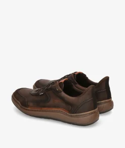 Deportivos Fluchos F2253 en marrón
