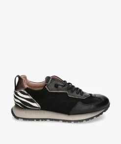 Deportivos Hispanitas ZHI254312 en negro