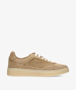 Deportivos Hobb's A4706A0703 HOBBS-7 en serraje taupe