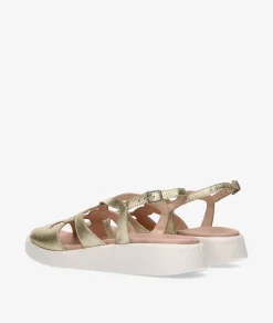 Sandalias Wonders C-6550 en platino
