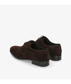 Zapatos de vestir HOBBS- DON 10731 en serraje marrón